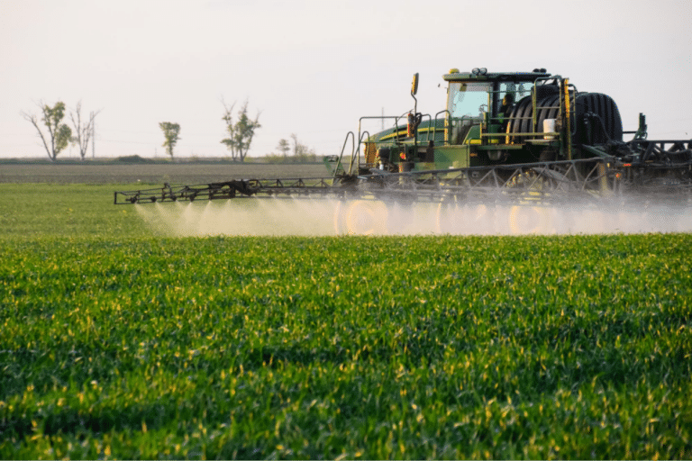 How Fertilizer Boosts High-Yielding Crops