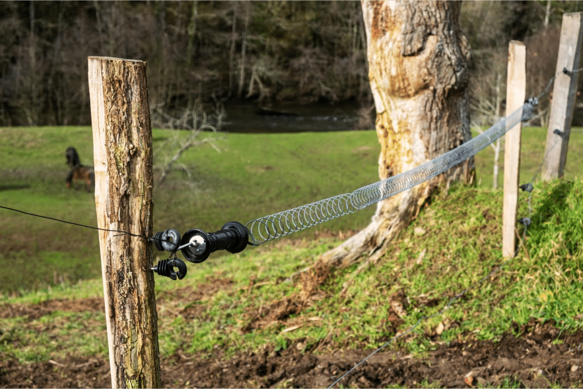 Close-up of an electric fence post with a scenic green field and trees in the background.