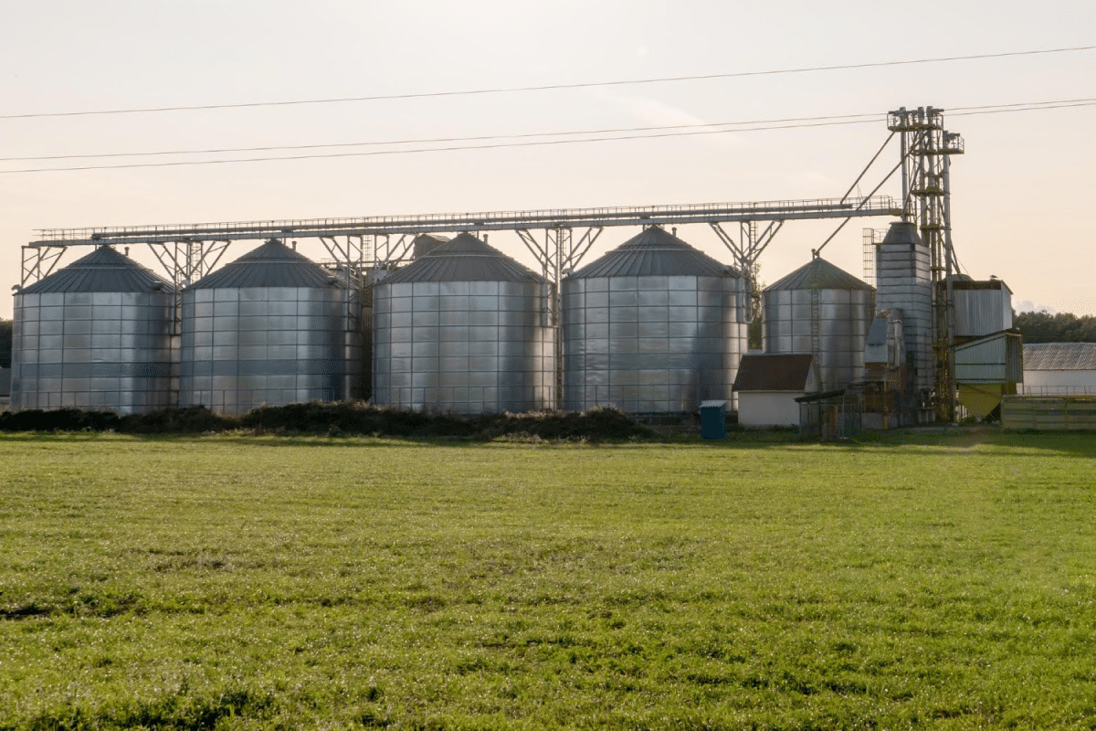 A row of large metal grain silos on a farm with a grassy foreground and a clear sky.