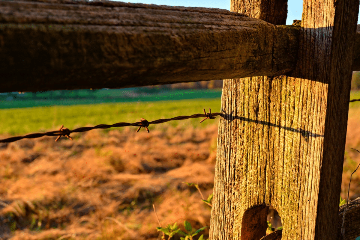 Old wooden fence post with barbed wire casting a shadow in the golden light of sunset.