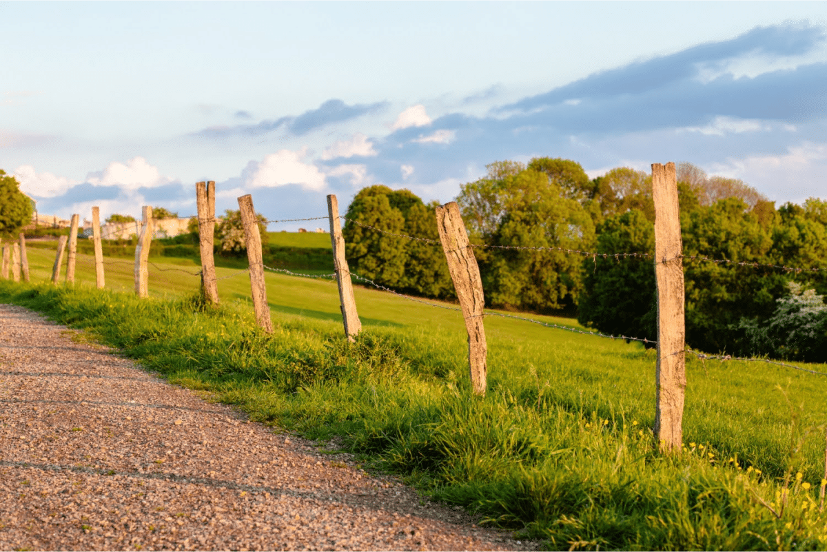 Rustic wooden fence posts with barbed wire lining a gravel path beside a green field at sunset.